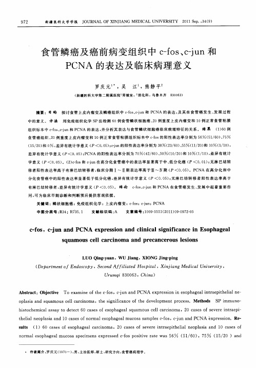 食管鳞癌及癌前病变组织中c-fos、c-jun和PCNA的表达及临床病理意义