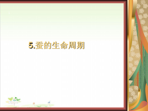 三年级下册科学-蚕的生命周期优秀课件教科版