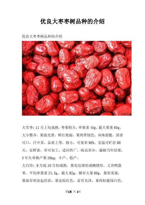 优良大枣枣树品种的介绍