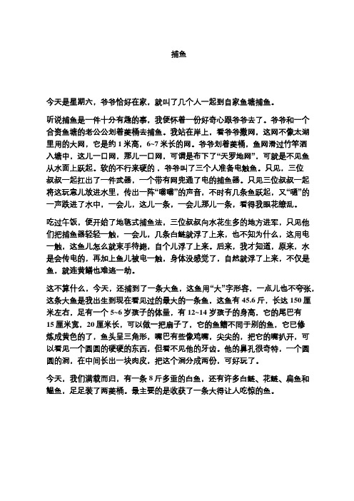 高中作文——捕鱼