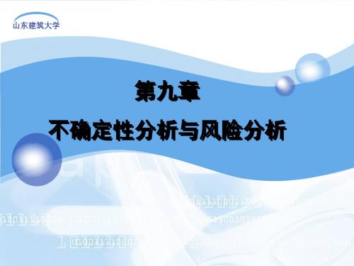 9不确定性分析与风险分析总结