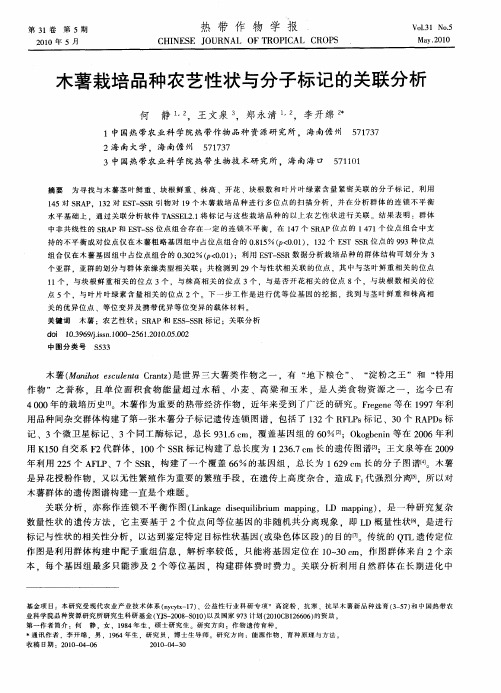 木薯栽培品种农艺性状与分子标记的关联分析