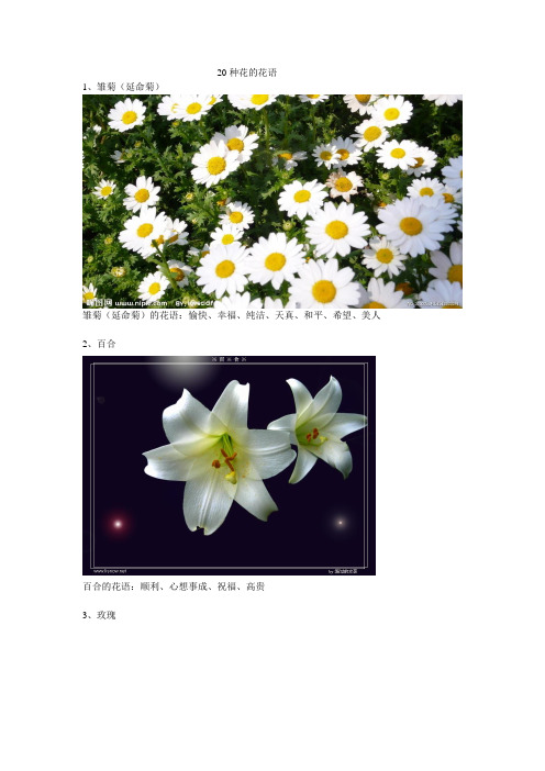 20种花的花语