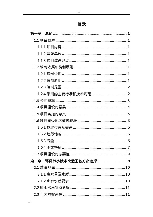 某某化工企业环保节水技术改造项目可行性研究报告(生产氯碱及其下游产品为主的综合性化工企业)