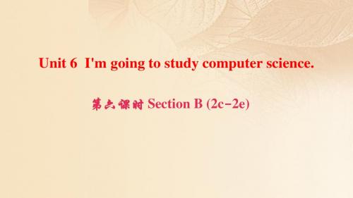 八年级英语上册Unit6I'mgoingtostudycomputerscience第6课时SectionB(2c_2e)人教新目标版