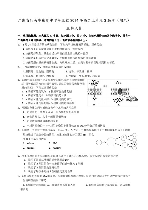 广东省汕头市东厦中学等三校2014年高二上阶段3联考(期末)生物试卷