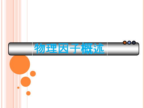物理因子概述PPT课件