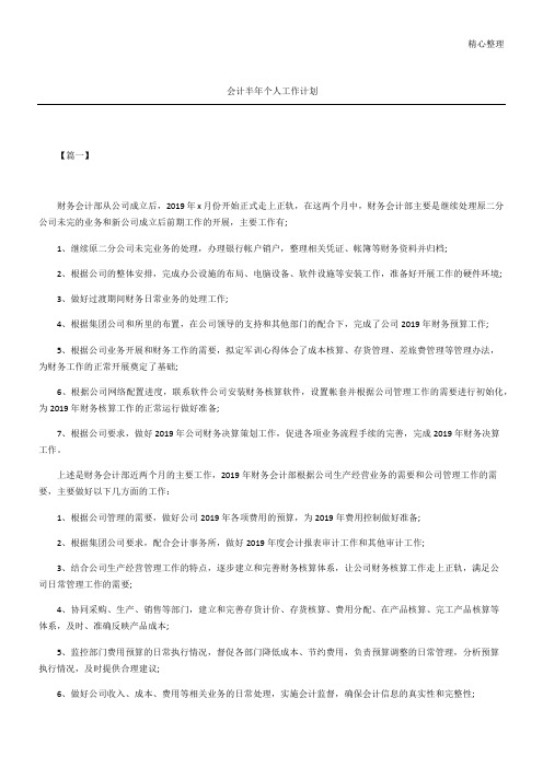 会计半年个人工作计划