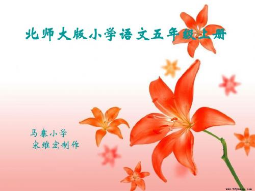 《包公审驴》课件(北师大版小学语文五年级上册课件)