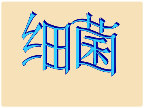 八年级生物上册 第五单元 第四章 第二节《细菌》教学课件 (新版)新人教版