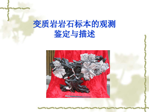 变质岩(糜棱岩)岩石标本观测鉴