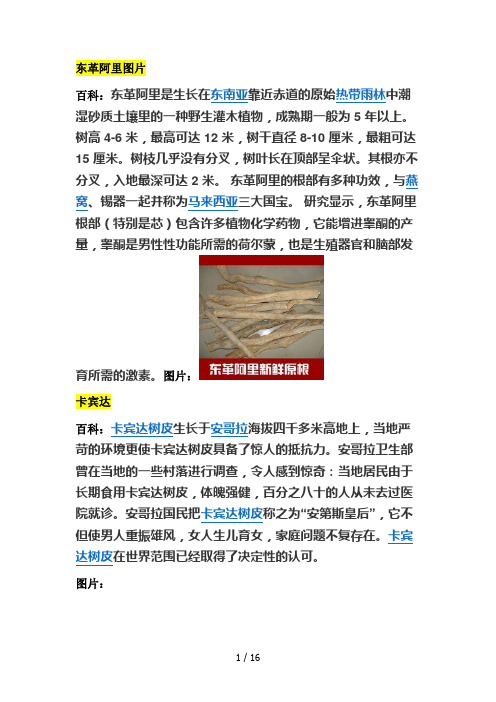 x-play延时产品主要配方和图片