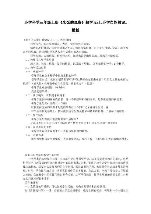 小学科学三年级上册《米饭的观察》教学设计_小学自然教案_模板