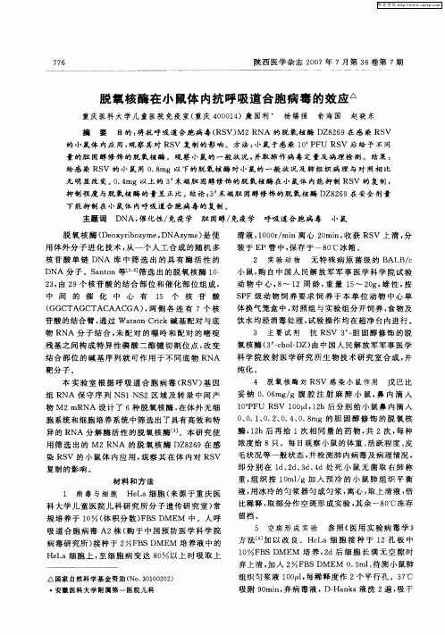 脱氧核酶在小鼠体内抗呼吸道合胞病毒的效应