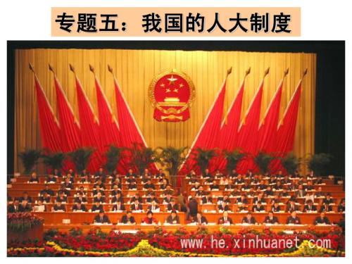 专题五：我国的人大制度