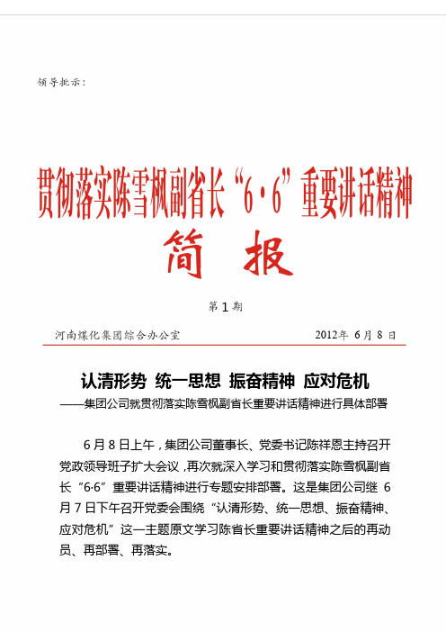 河南煤化集团贯彻落实陈雪枫副省长6[1].6重要讲话精神简报(第1期)