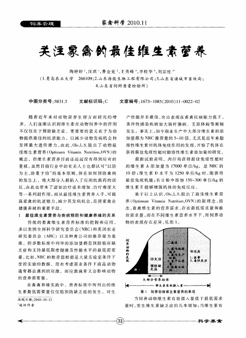 关注家禽的最佳维生素营养