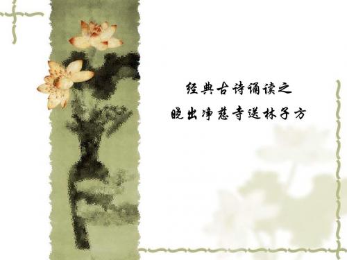 古诗