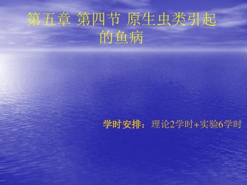 原生虫类引起的鱼病