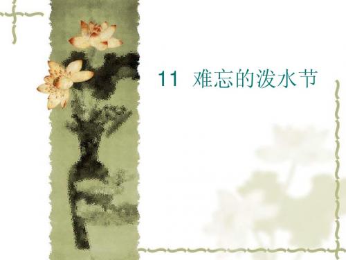 11  难忘的泼水节