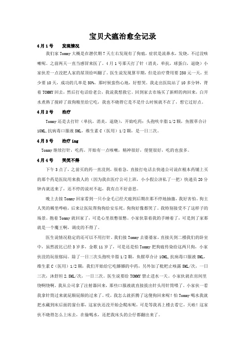 宝贝犬瘟治愈全记录