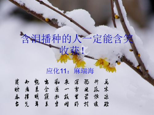 学生会副主席精选ppt