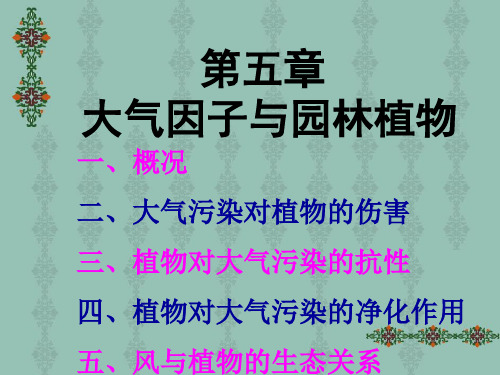 11-12第五章大气因子与园林植物