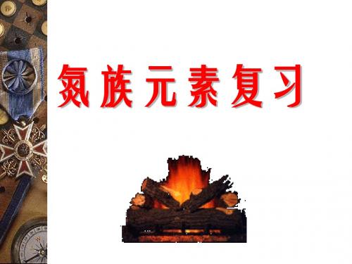 2014高考第一轮复习--氮族元素