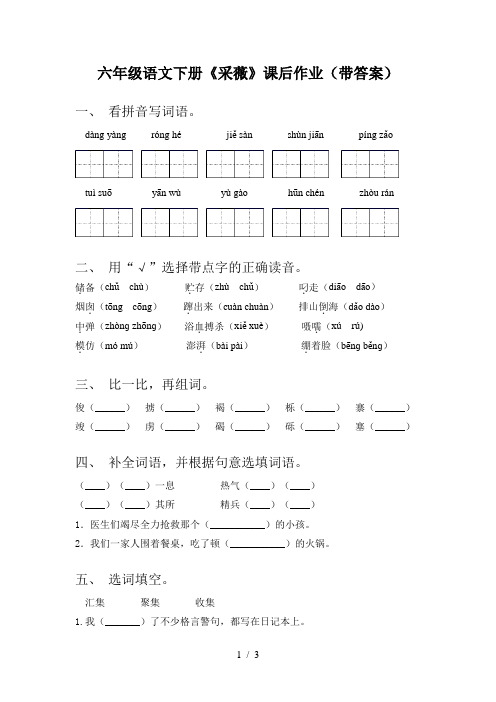 六年级语文下册《采薇》课后作业(带答案)