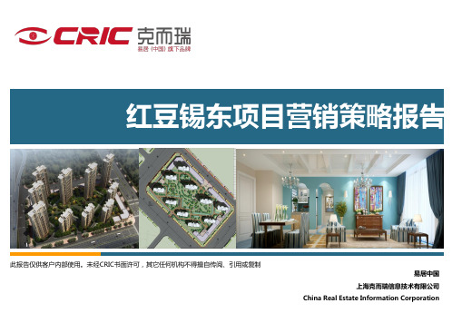 房地产锡东项目营销策略提报版