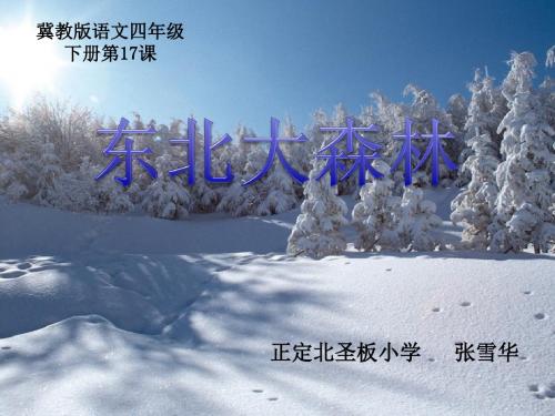 四年级下册语文课件-17. 东北大森林 ▎冀教版 (共41张PPT)