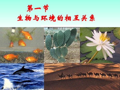 浙教版科学九年级下册2.1生物与环境的相互关系课件