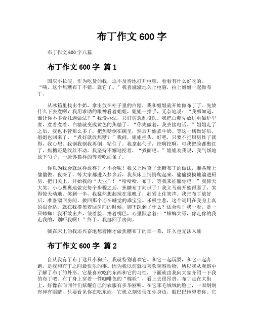 布丁作文600字