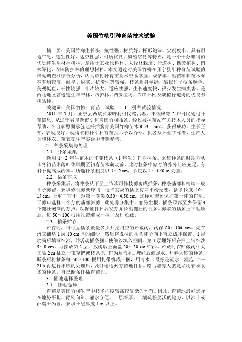 美国竹柳引种育苗技术试验