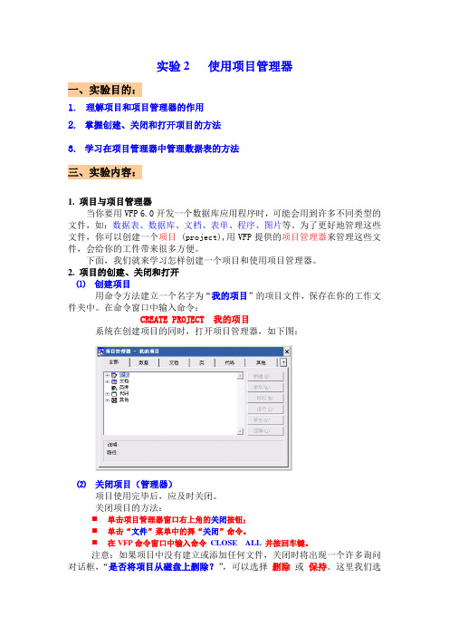 VF项目管理器简单运用