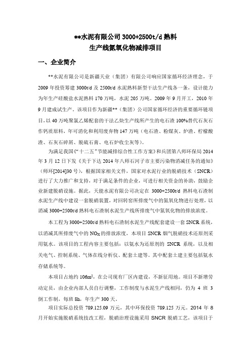 脱硝项目概况