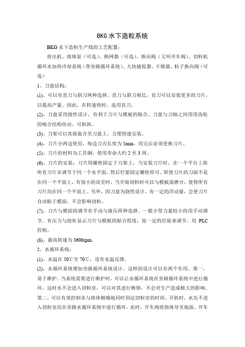 BKG水下造粒系统