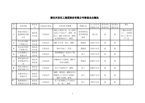湖北兴发化工集团股份有限公司核查企业概况