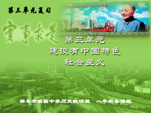 建设中国特色社会主义复习--北师大版