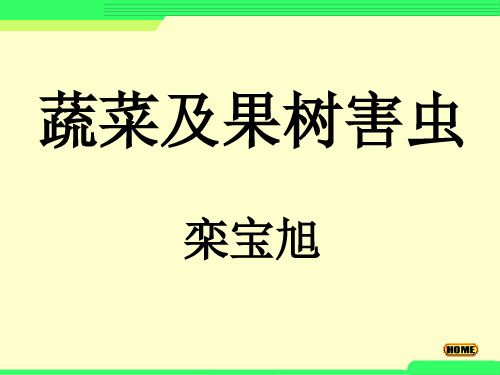 蔬菜害虫及防治植保2001
