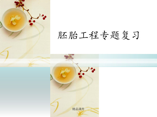 胚胎工程专题复习
