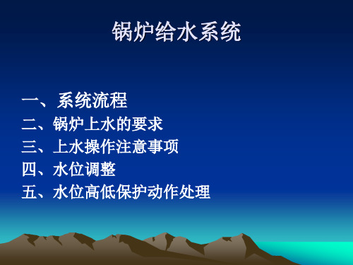 锅炉给水系统 演示文稿 -