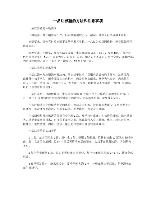 一品红养殖的方法和注意事项