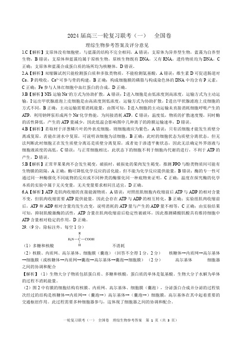 2024届高三上学期一轮复习联考(一)理综试卷(全国卷)生物 答案