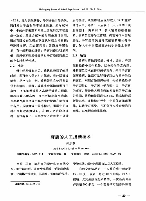 茸鹿的人工授精技术