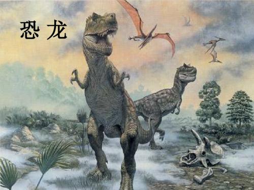 20、《恐龙》课件ppt