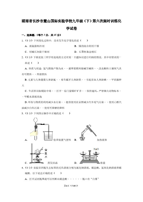 湖南省长沙市麓山国际实验学校九年级(下)第六次限时训练化学试卷