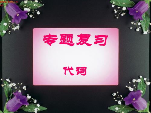 2012中考英语复习之代词_课件