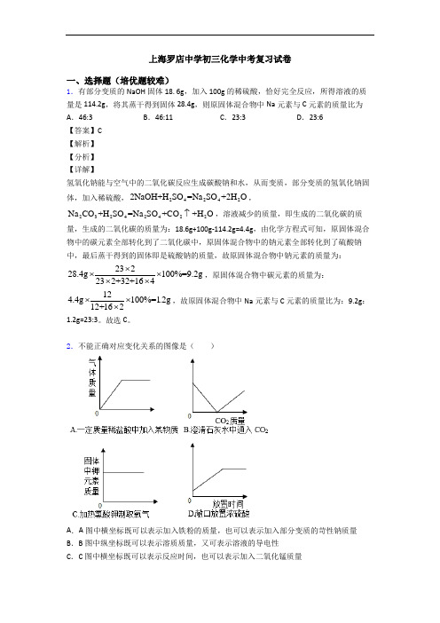 上海罗店中学初三化学中考复习试卷