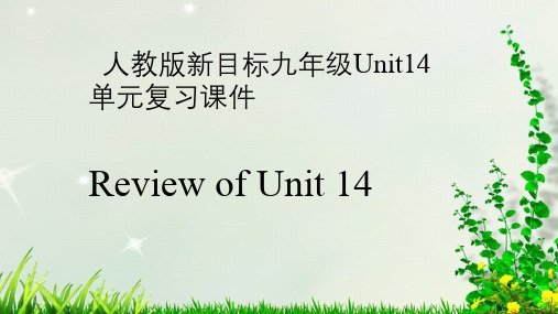 人教版新目标九年级Unit单元复习张教学课件